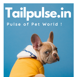 Tailpulse